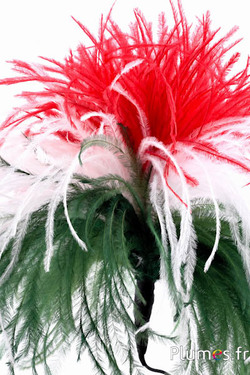 Pluim struisvogel met ring - hoogte 20-23 cm - groen-wit-rood